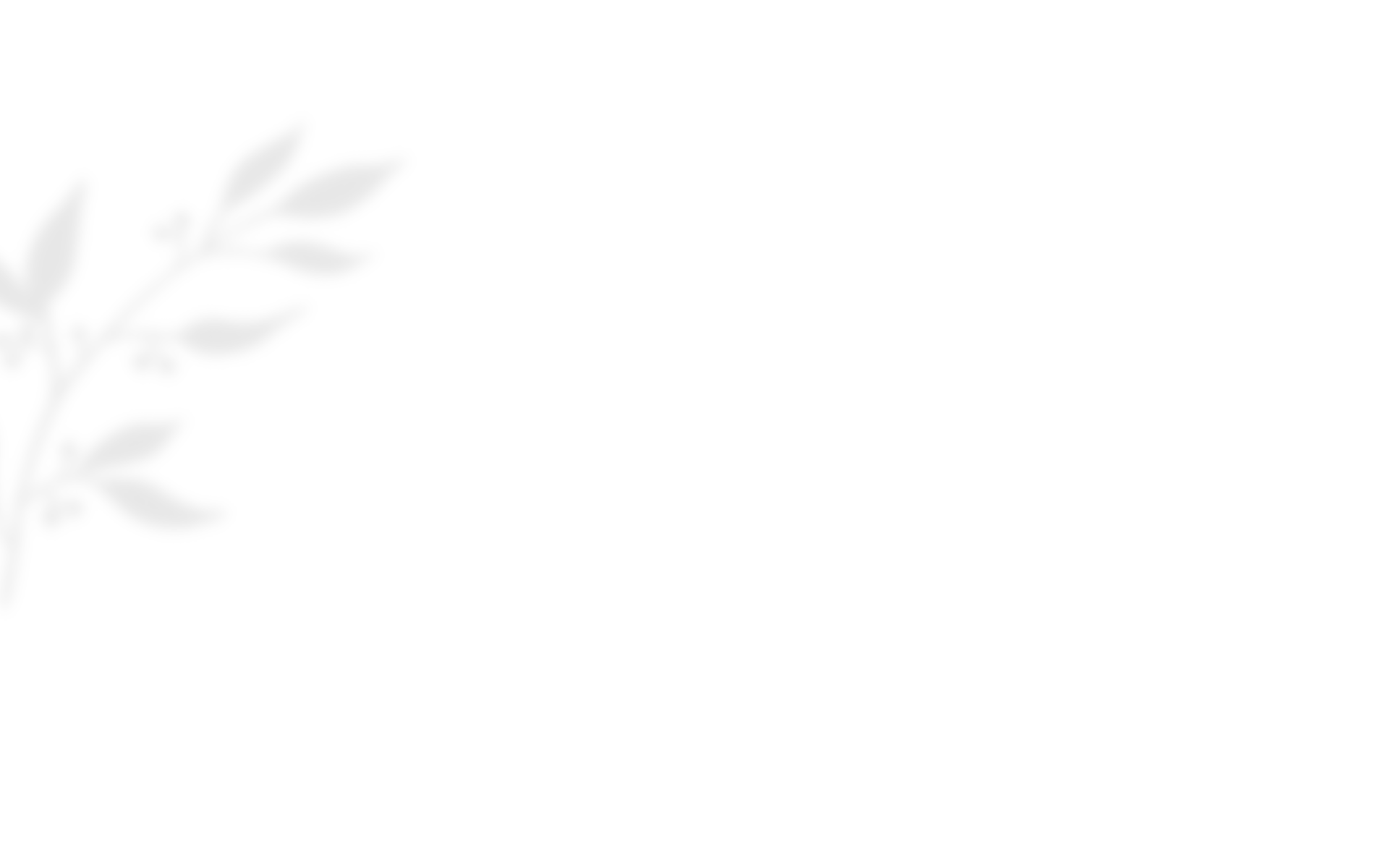 https://clone.wildfitness.com/wp-content/uploads/2020/10/shadow_leaves_03.png
