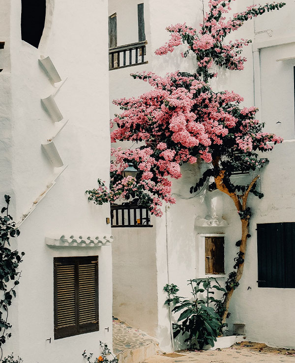 https://clone.wildfitness.com/wp-content/uploads/2024/11/Main-Discover-Menorca-Enquire-01.jpg